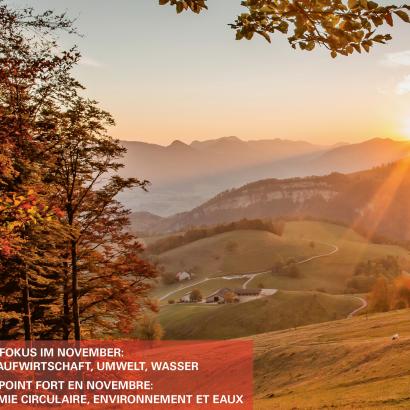 Die November-Ausgabe der «Schweizer Gemeinde» ist online