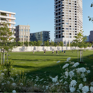 Uscito il rapporto sulla promozione della biodiversità e sulla qualità del paesaggio