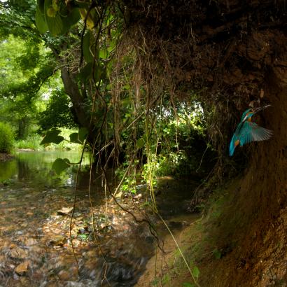 Revitalisation des cours d’eau: bon pour l’être humain et la nature