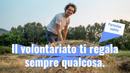 umwelt freiwillig it