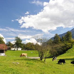 Prise de position de l’ACS sur le «Développement cohérent du territoire 2024-2031»